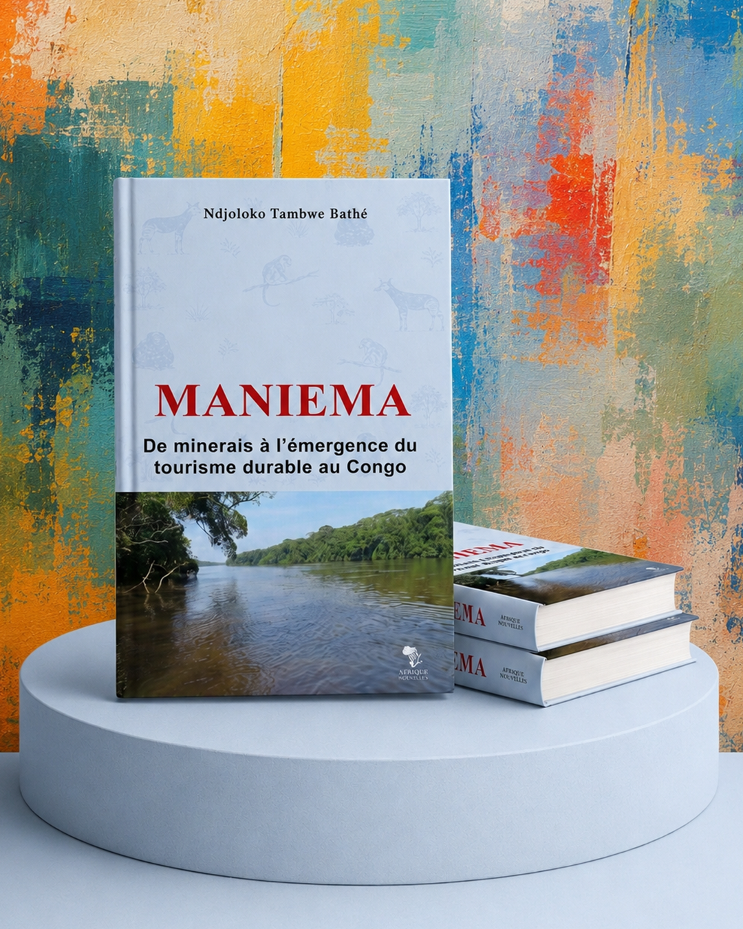 Livre Maniema - De minerais à l’émergence du tourisme durable au Congo par Ndjoloko Tambwe Bathé